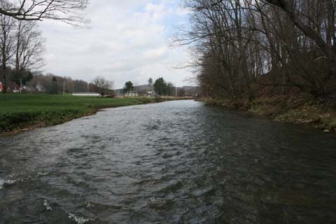 Field photo showing stream conditions at site CASS-302-A-2012_Mid-pointDownstream