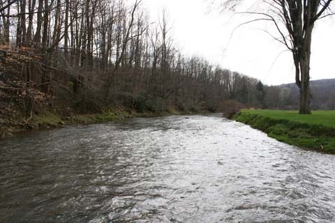 Field photo showing stream conditions at site CASS-302-A-2012_Mid-pointUpstream