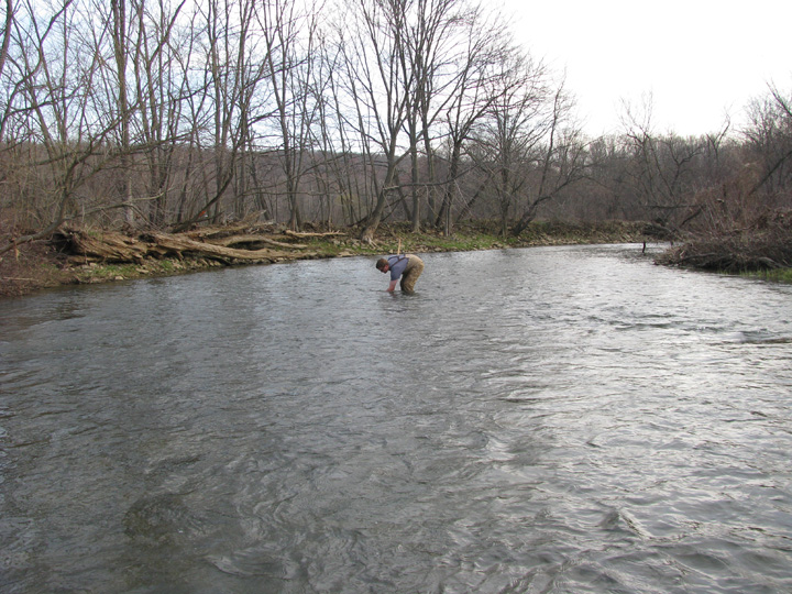 Field photo showing stream conditions at site CASS-303-A-2010-1