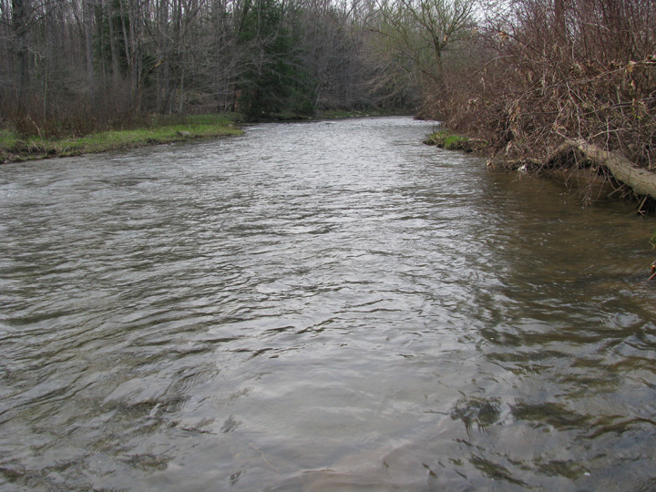 Field photo showing stream conditions at site CASS-303-A-2010-2