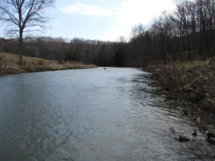 Field photo showing stream conditions at site CASS-305-H-2010-1