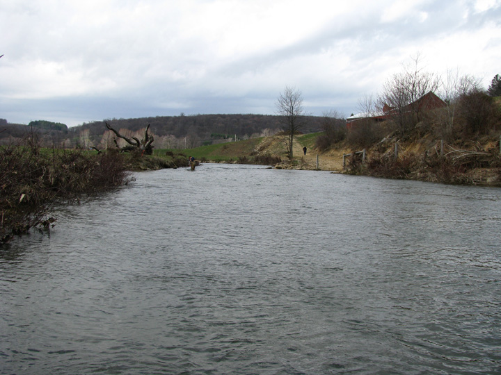 Field photo showing stream conditions at site CASS-305-H-2010-2