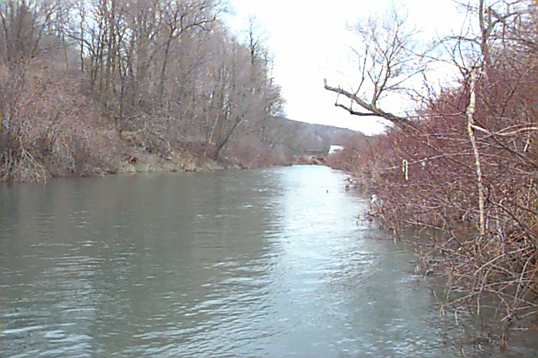 Field photo showing stream conditions at site CASS-307-R-2000-01