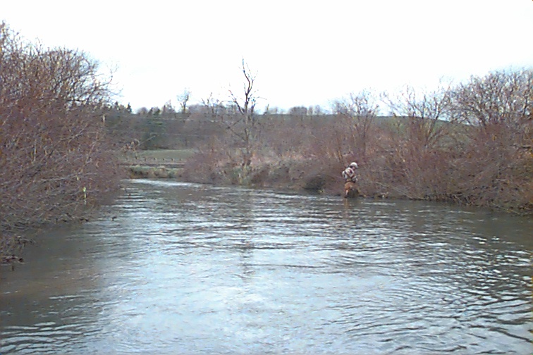 Field photo showing stream conditions at site CASS-307-R-2000-02