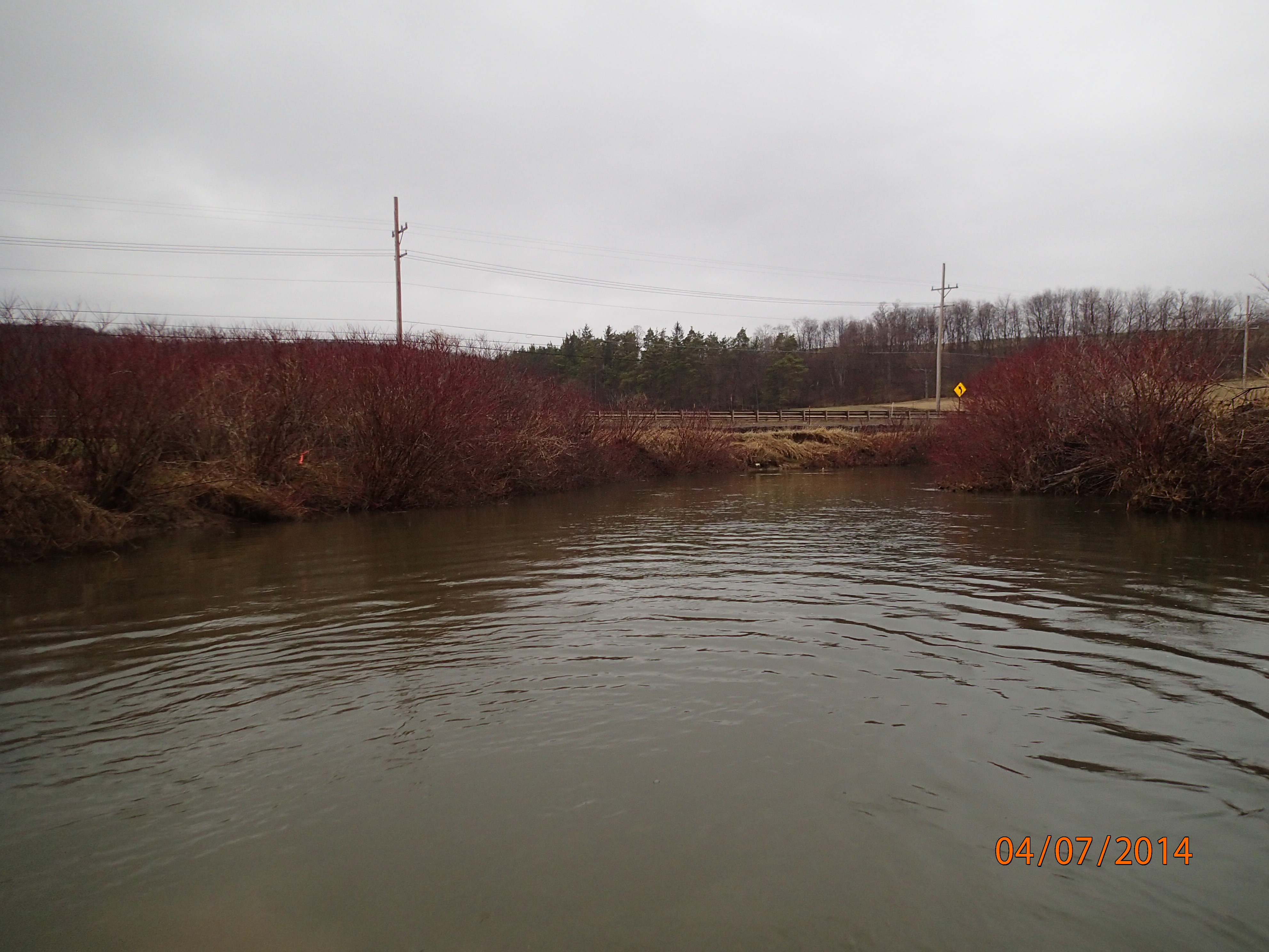 Field photo showing stream conditions at site CASS-307-R-2014-MidpointDownstream
