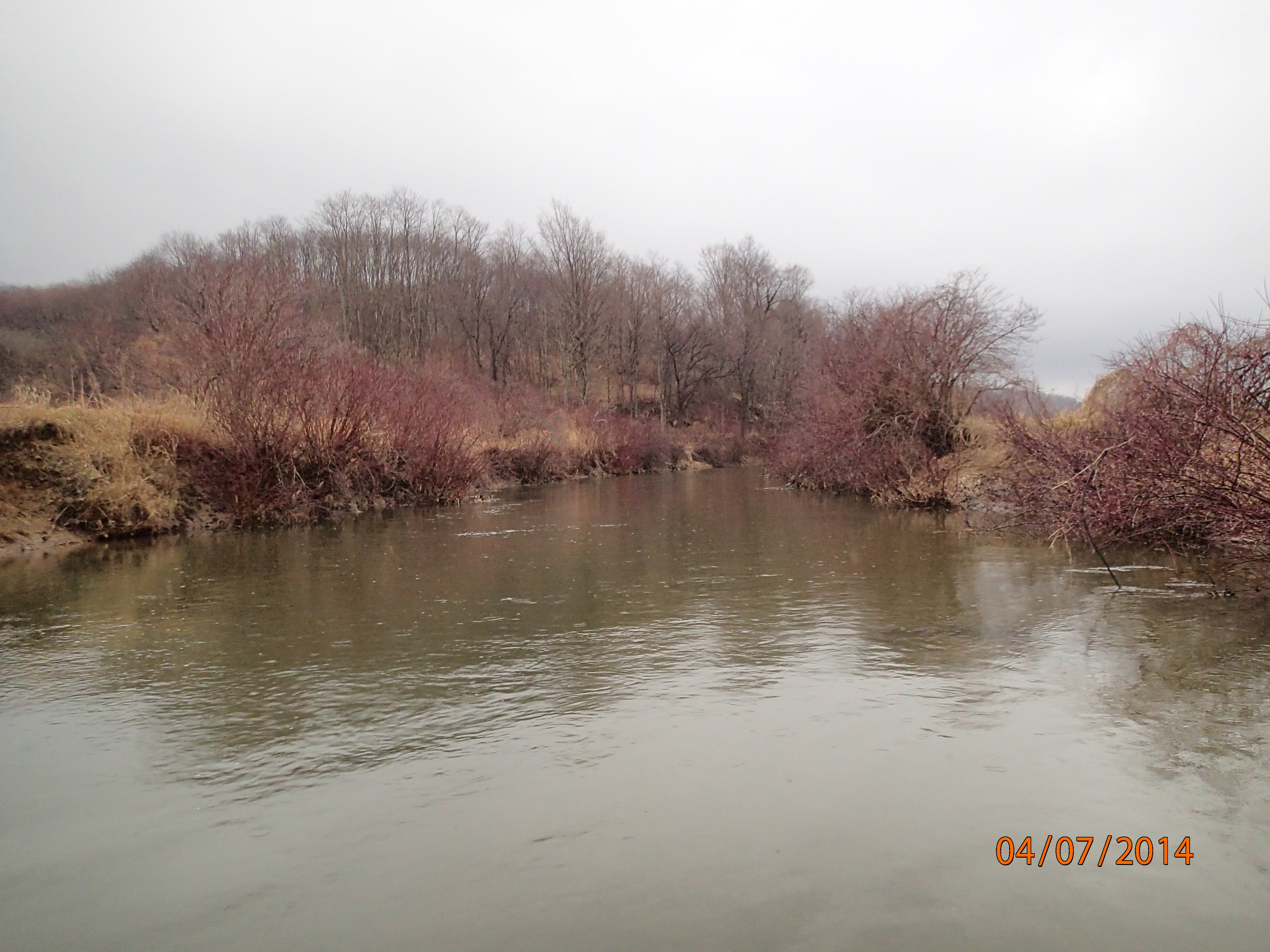 Field photo showing stream conditions at site CASS-307-R-2014-MidpointUpstream