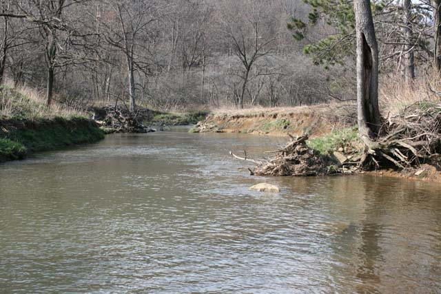 Field photo showing stream conditions at site CASS-311-A-2012_Mid-pointDownstream