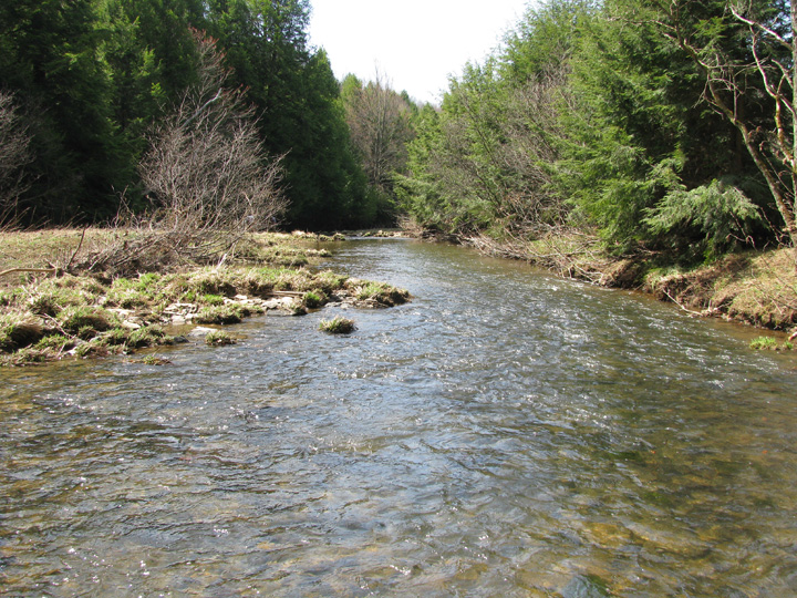 Field photo showing stream conditions at site CASS-311-H-2010-1