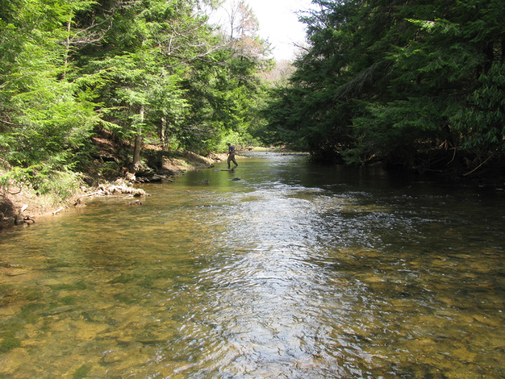 Field photo showing stream conditions at site CASS-311-H-2010-2