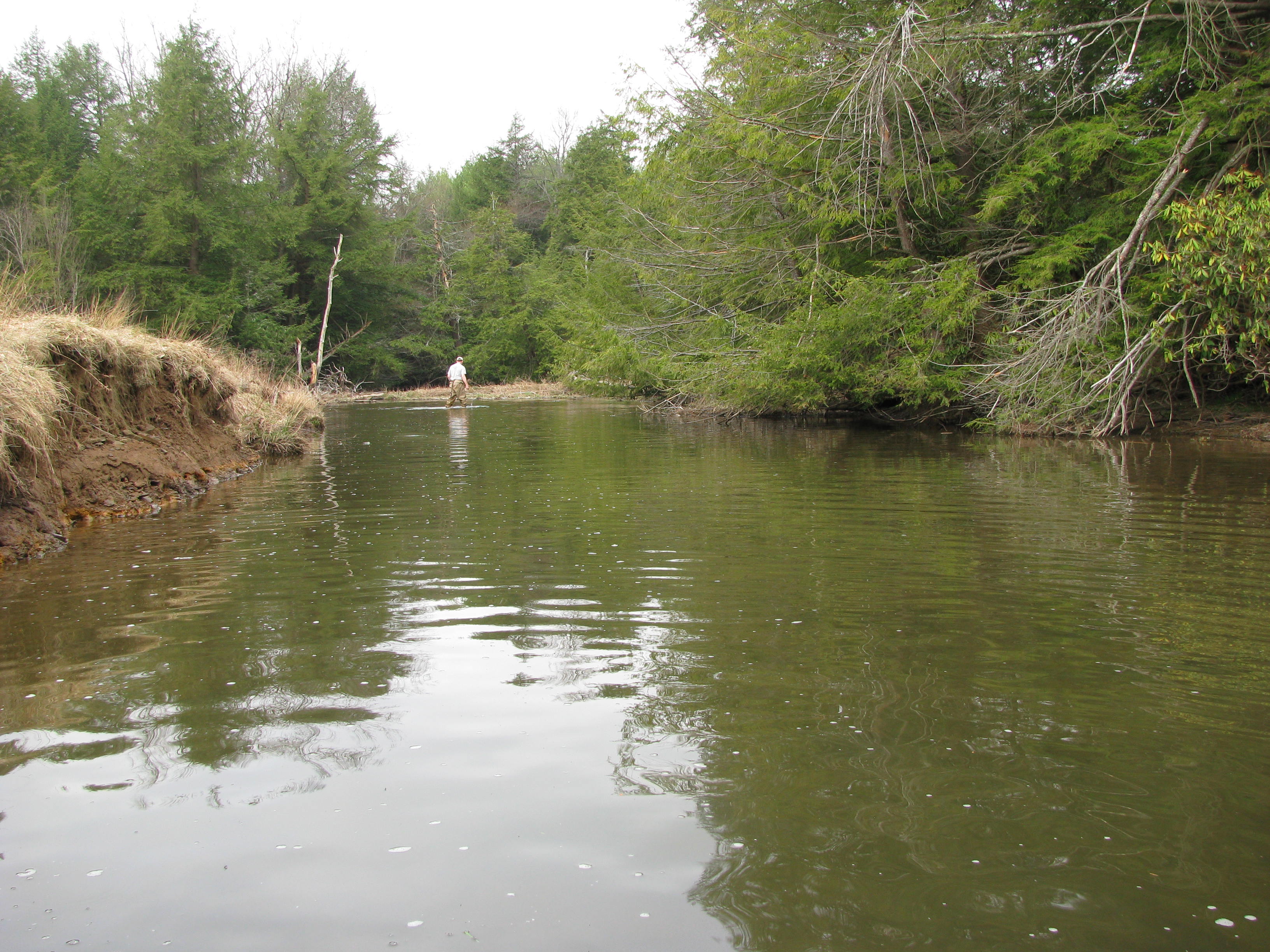 Field photo showing stream conditions at site CASS-392-B-2012-2