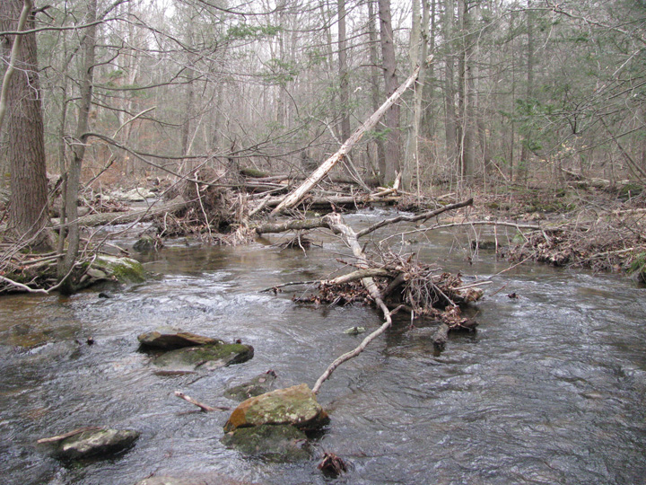 Field photo showing stream conditions at site CATO-101-X-2011-1
