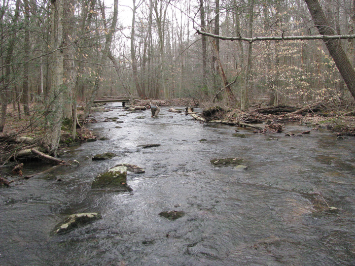 Field photo showing stream conditions at site CATO-101-X-2011-2