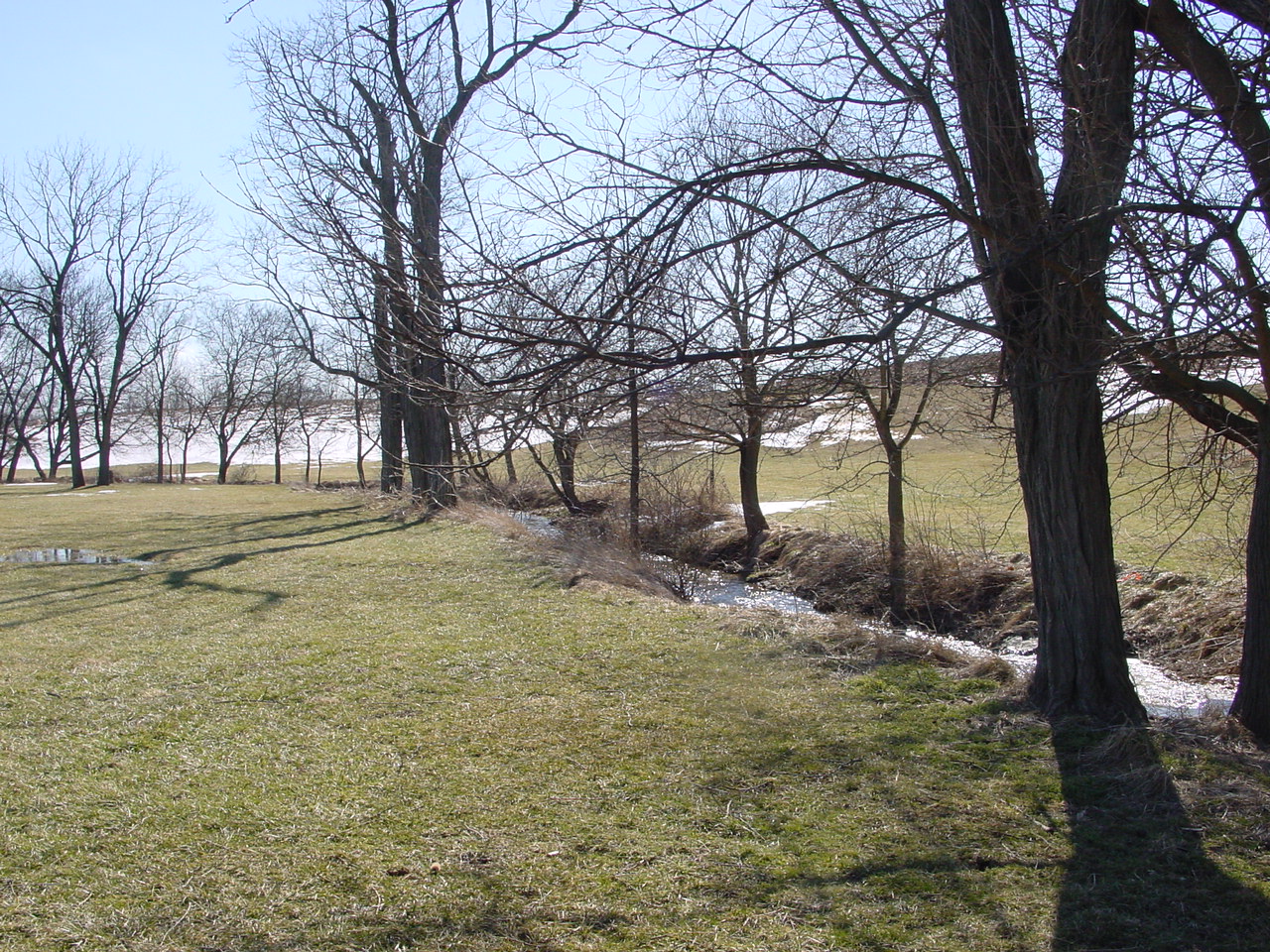 Field photo showing stream conditions at site CATO-103-R-2003-1