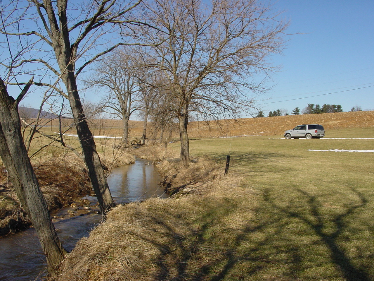 Field photo showing stream conditions at site CATO-103-R-2003-2