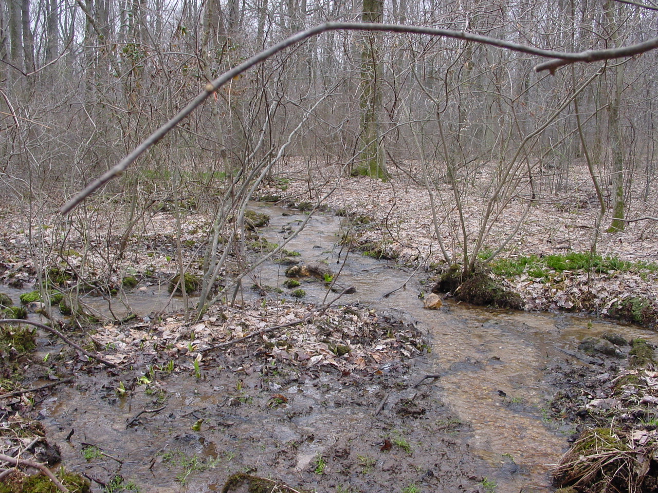 Field photo showing stream conditions at site CATO-104-R-2003-1