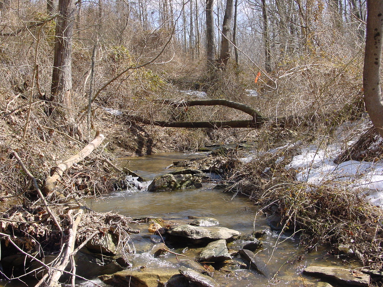 Field photo showing stream conditions at site CATO-106-R-2003-1