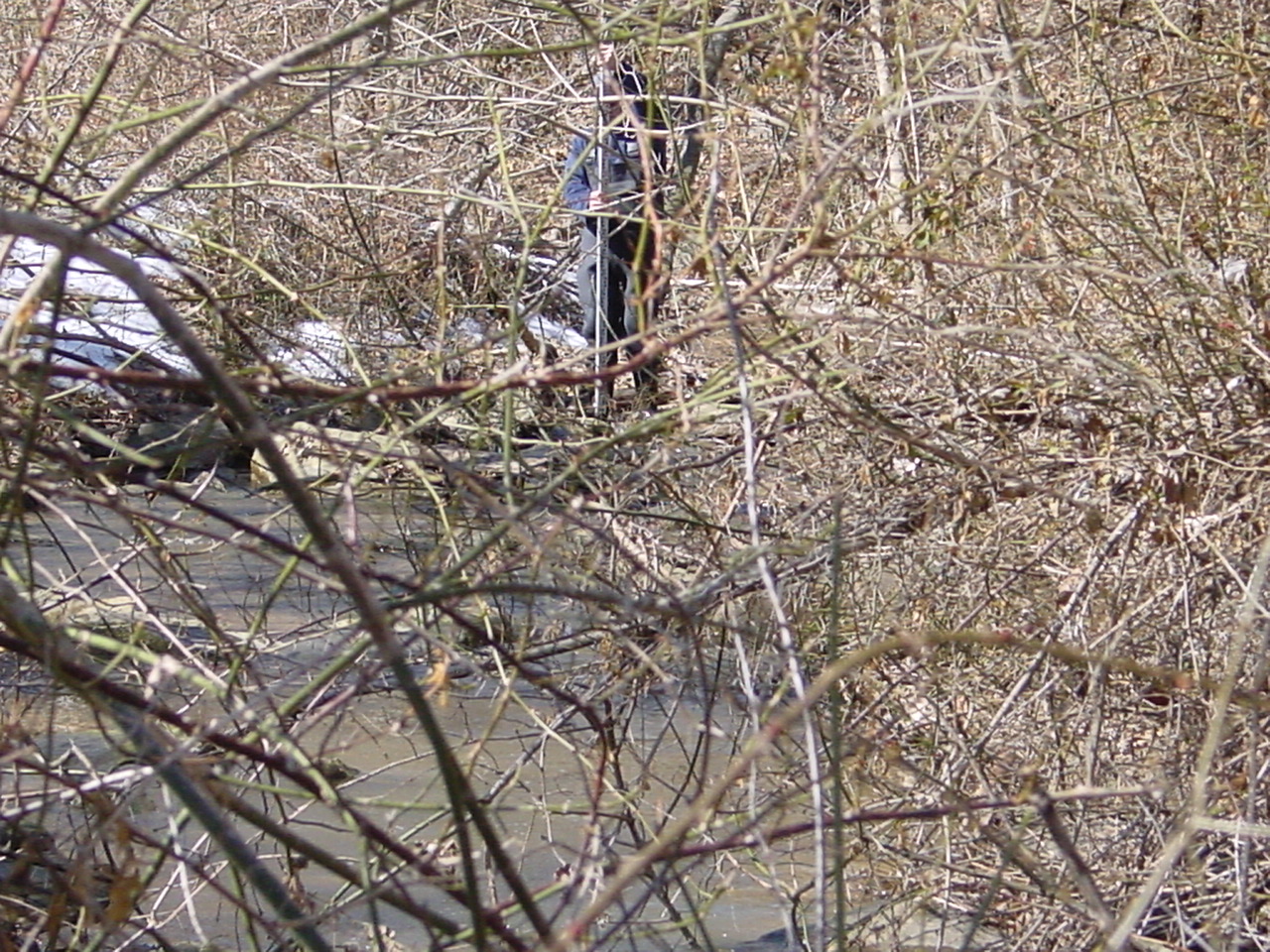 Field photo showing stream conditions at site CATO-106-R-2003-2