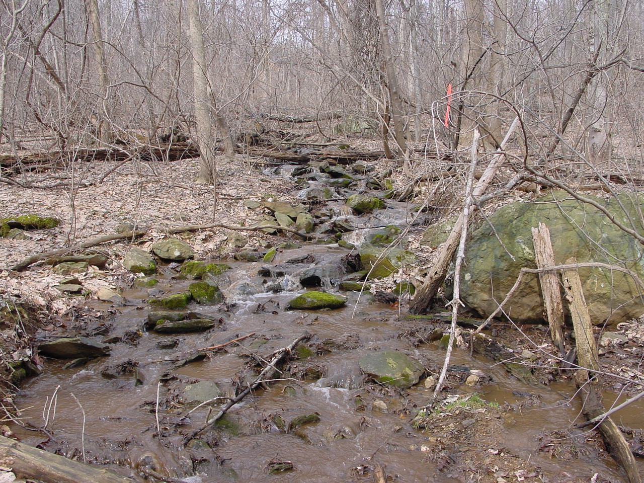 Field photo showing stream conditions at site CATO-109-R-2003-2
