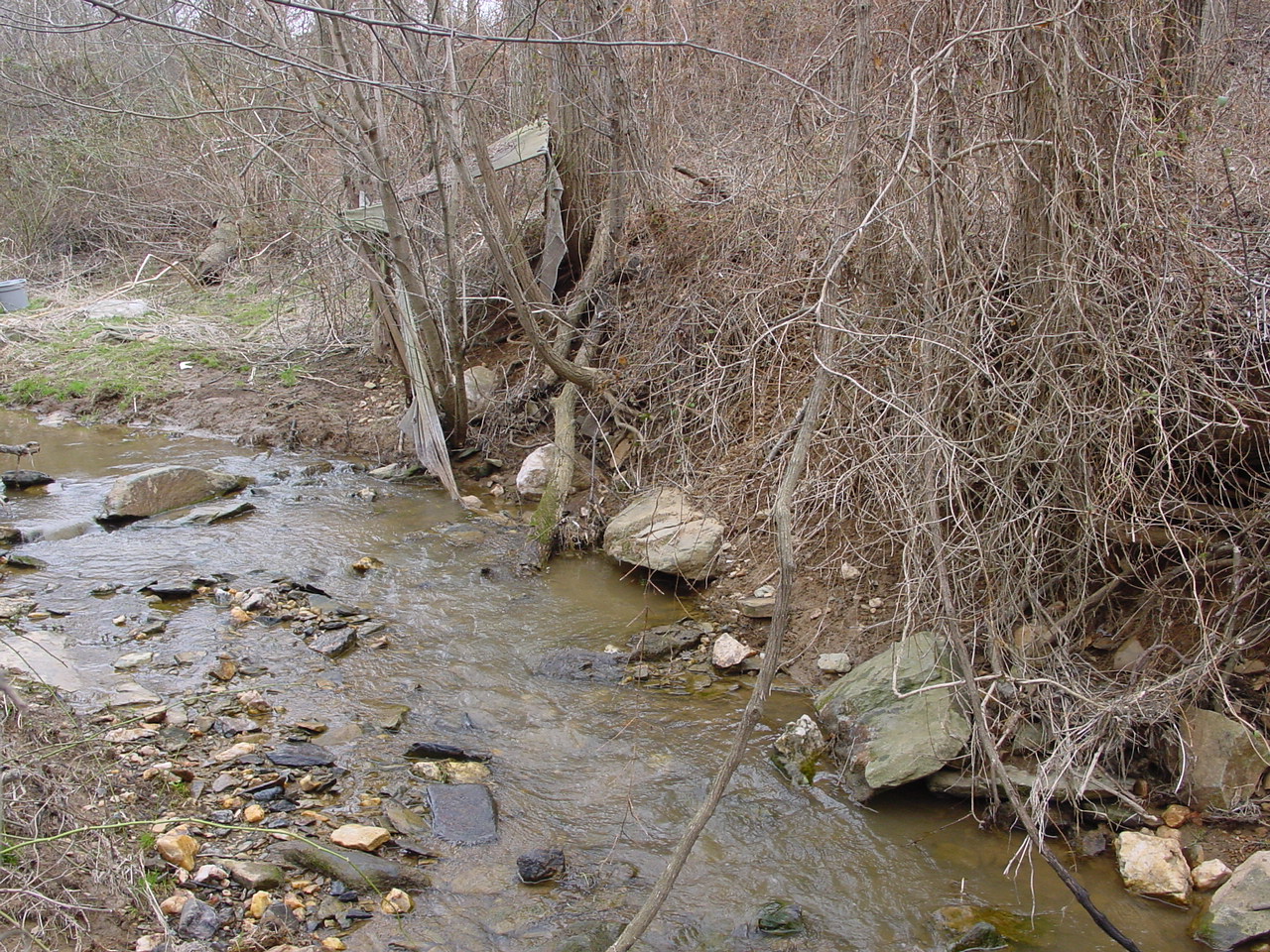 Field photo showing stream conditions at site CATO-110-R-2003-1