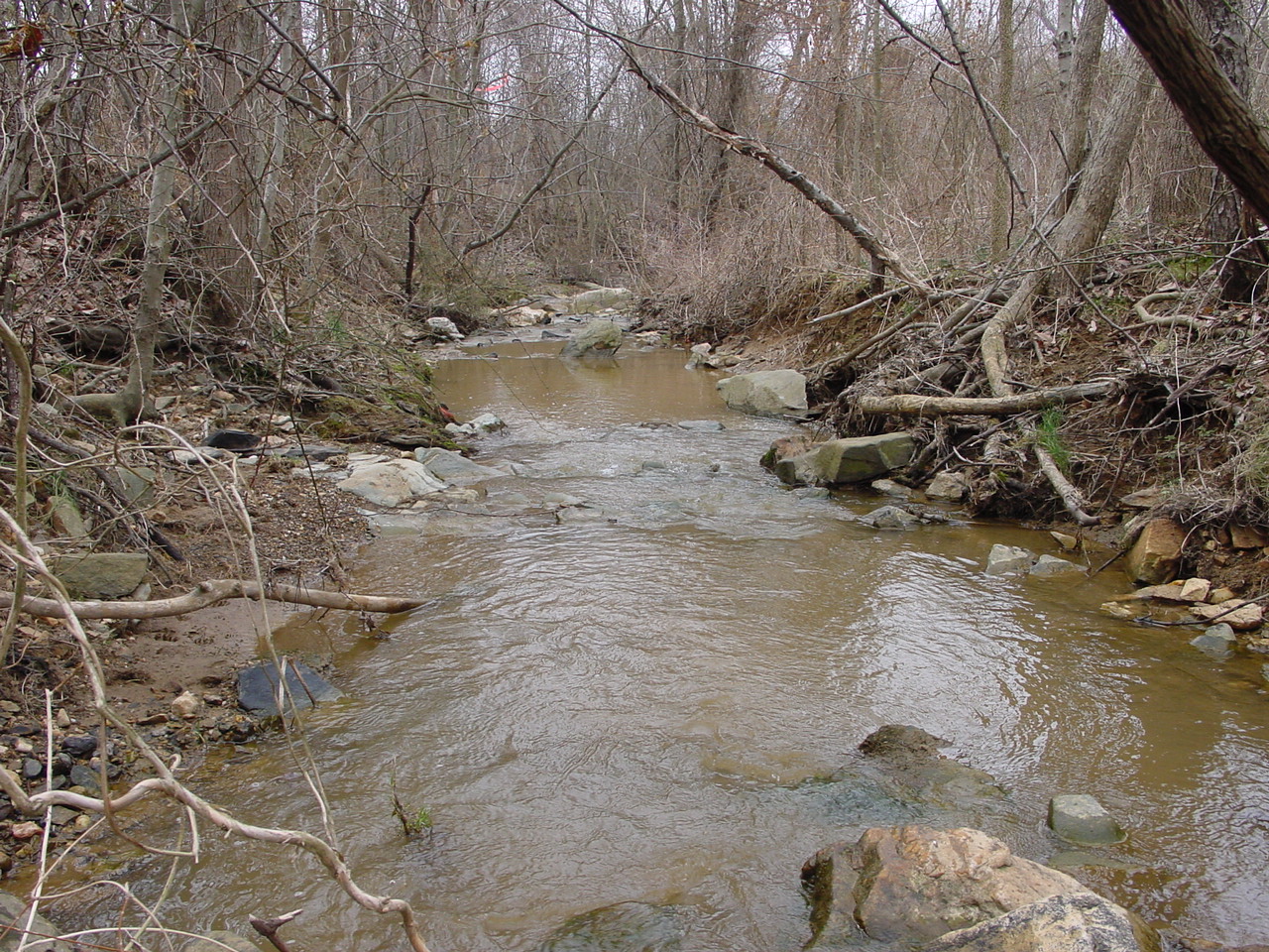 Field photo showing stream conditions at site CATO-110-R-2003-2