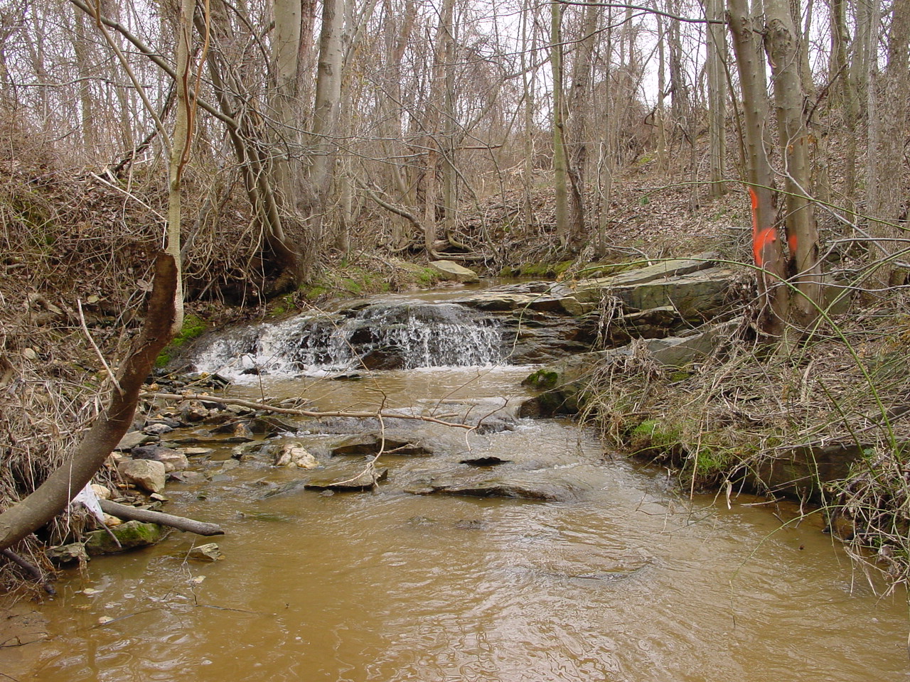 Field photo showing stream conditions at site CATO-110-R-2003-3