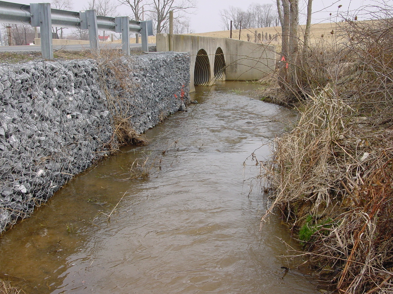 Field photo showing stream conditions at site CATO-111-R-2003-2