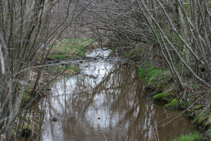 Field photo showing stream conditions at site CATO-114-R-2009-1