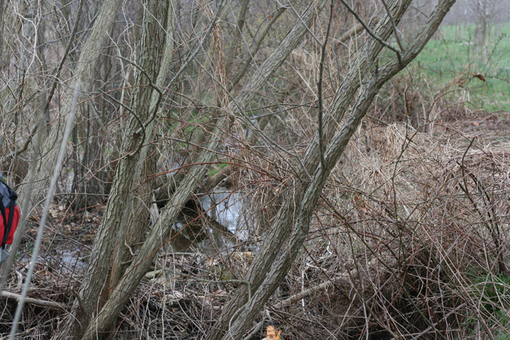 Field photo showing stream conditions at site CATO-114-R-2009-2