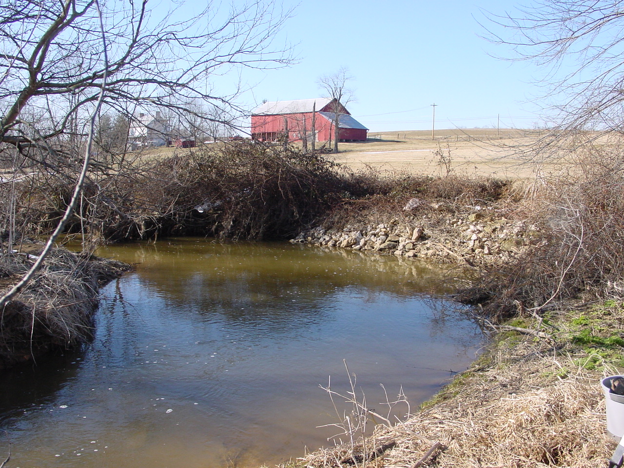 Field photo showing stream conditions at site CATO-121-R-2003-1