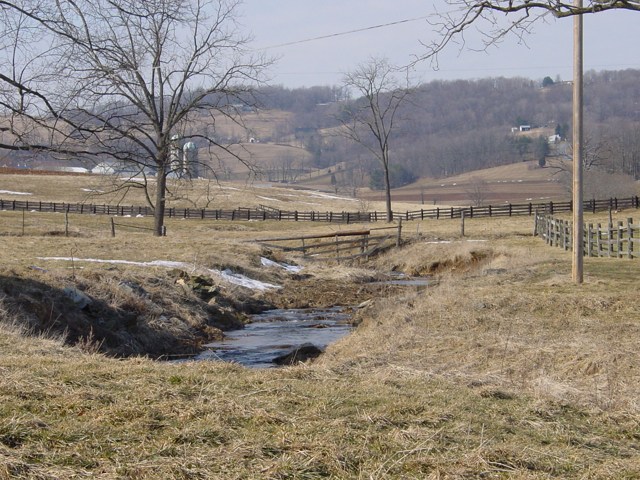 Field photo showing stream conditions at site CATO-125-R-2003-2
