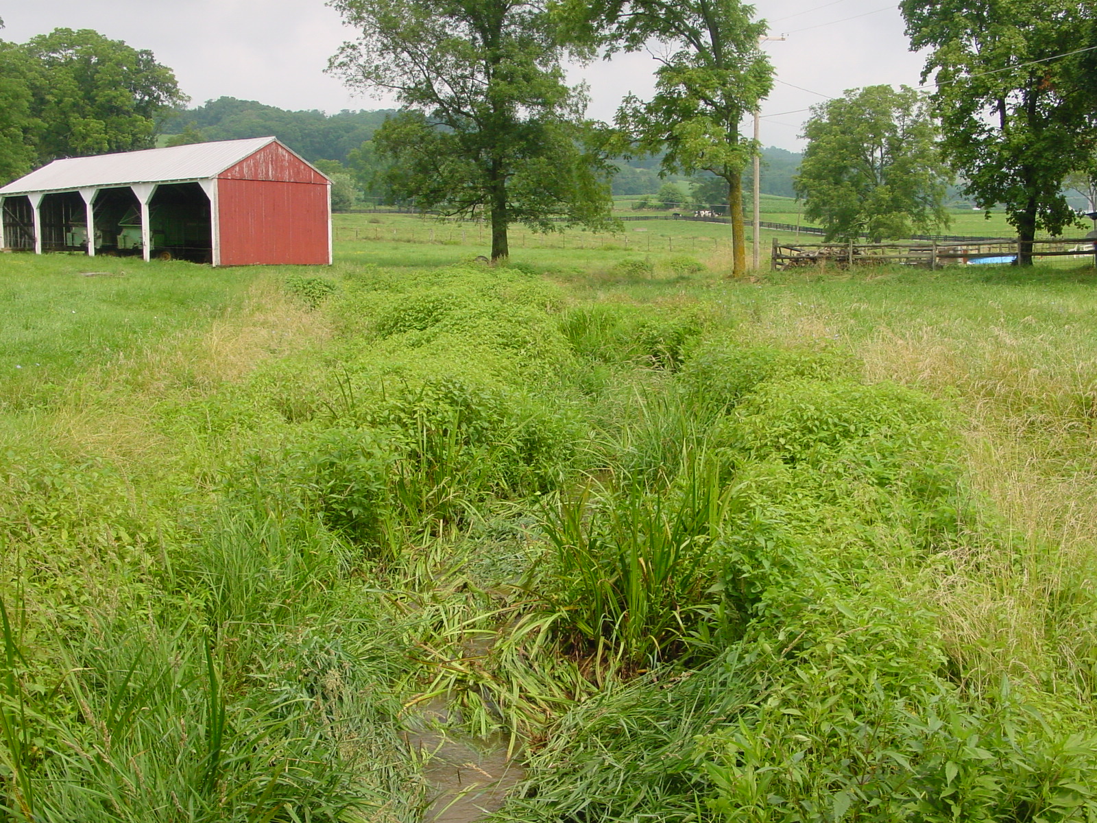 Field photo showing stream conditions at site CATO-125-R-2003-3