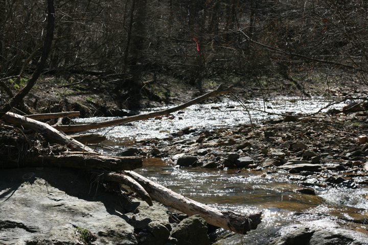 Field photo showing stream conditions at site CATO-201-B-2010-1