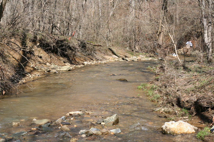 Field photo showing stream conditions at site CATO-201-B-2010-2