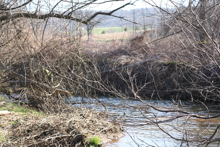 Field photo showing stream conditions at site CATO-202-B-2010-1