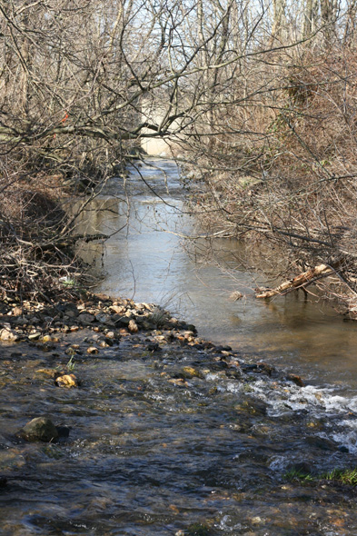 Field photo showing stream conditions at site CATO-202-B-2010-2