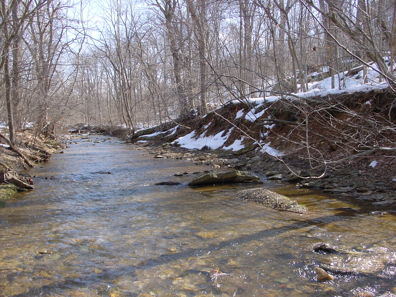Field photo showing stream conditions at site CATO-205-R-2003-1