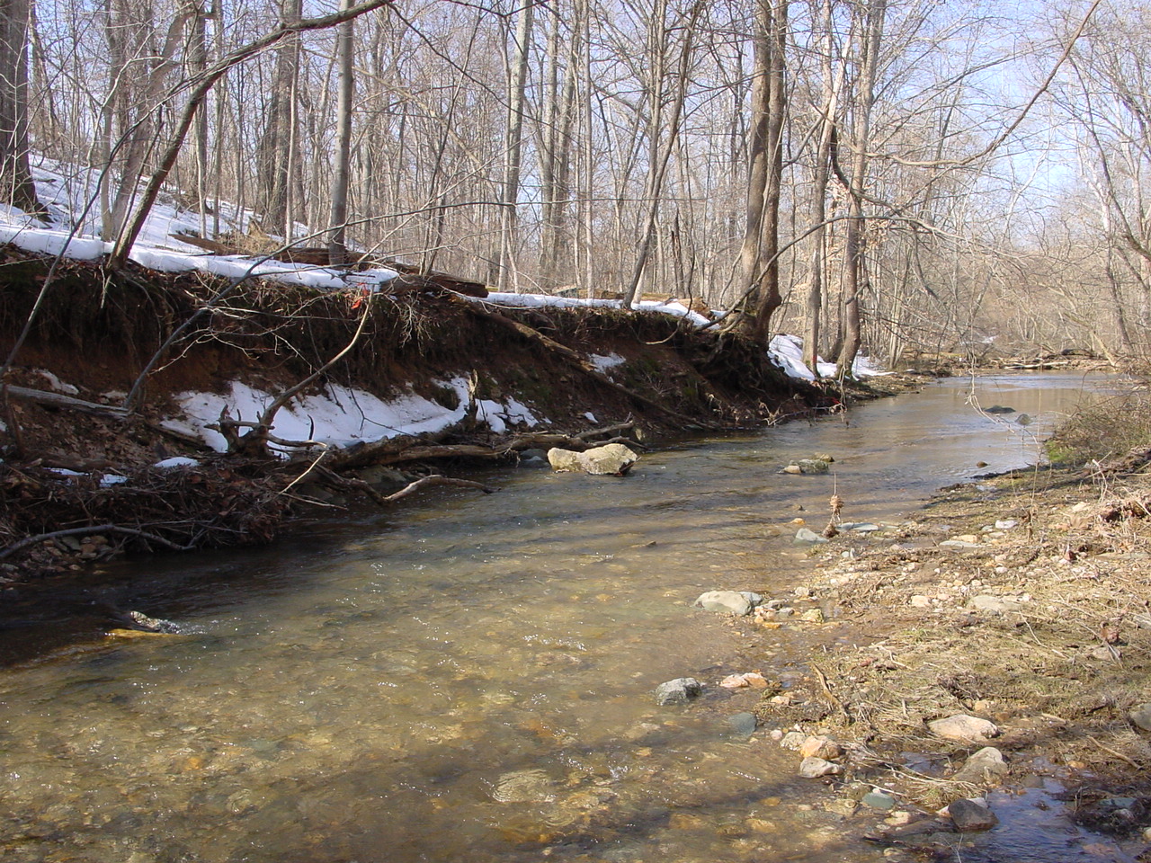 Field photo showing stream conditions at site CATO-205-R-2003-2