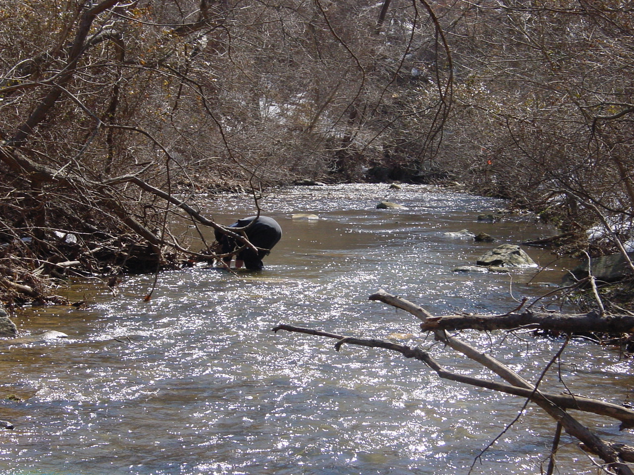Field photo showing stream conditions at site CATO-208-R-2003-1
