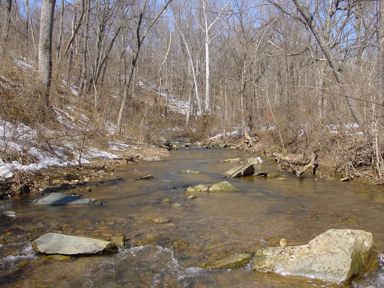 Field photo showing stream conditions at site CATO-208-R-2003-2