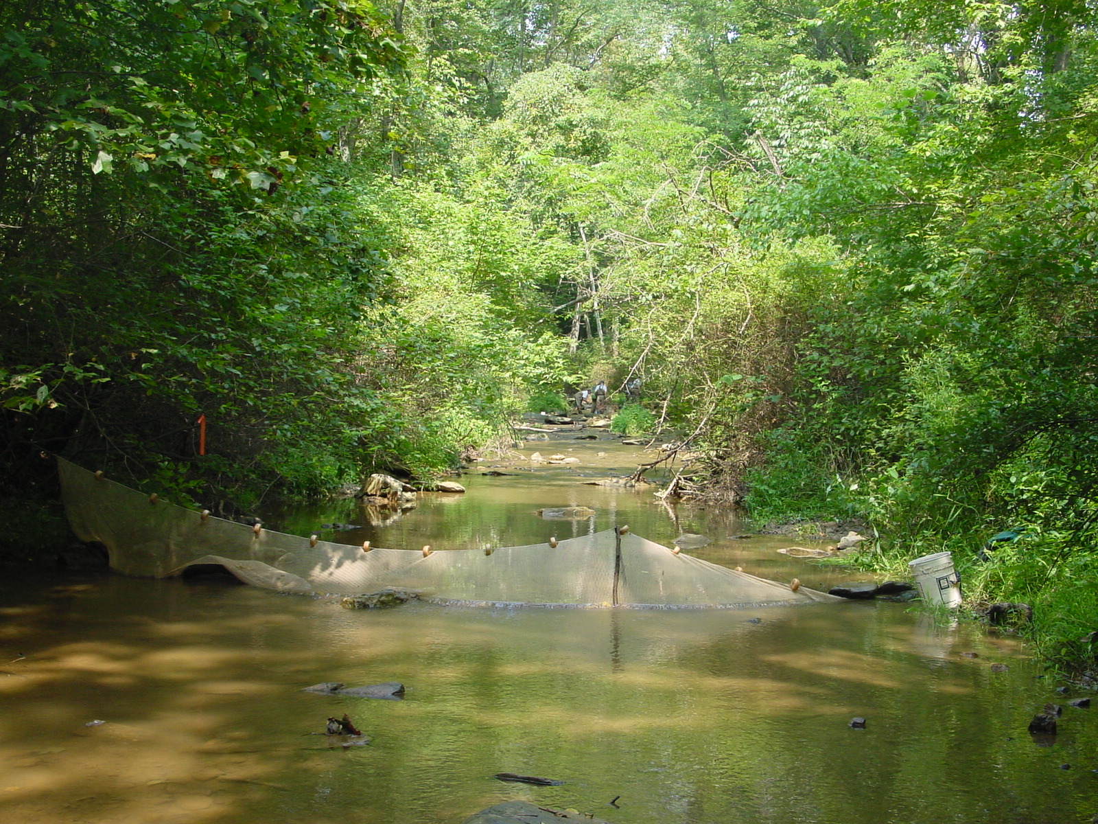 Field photo showing stream conditions at site CATO-208-R-2003-3