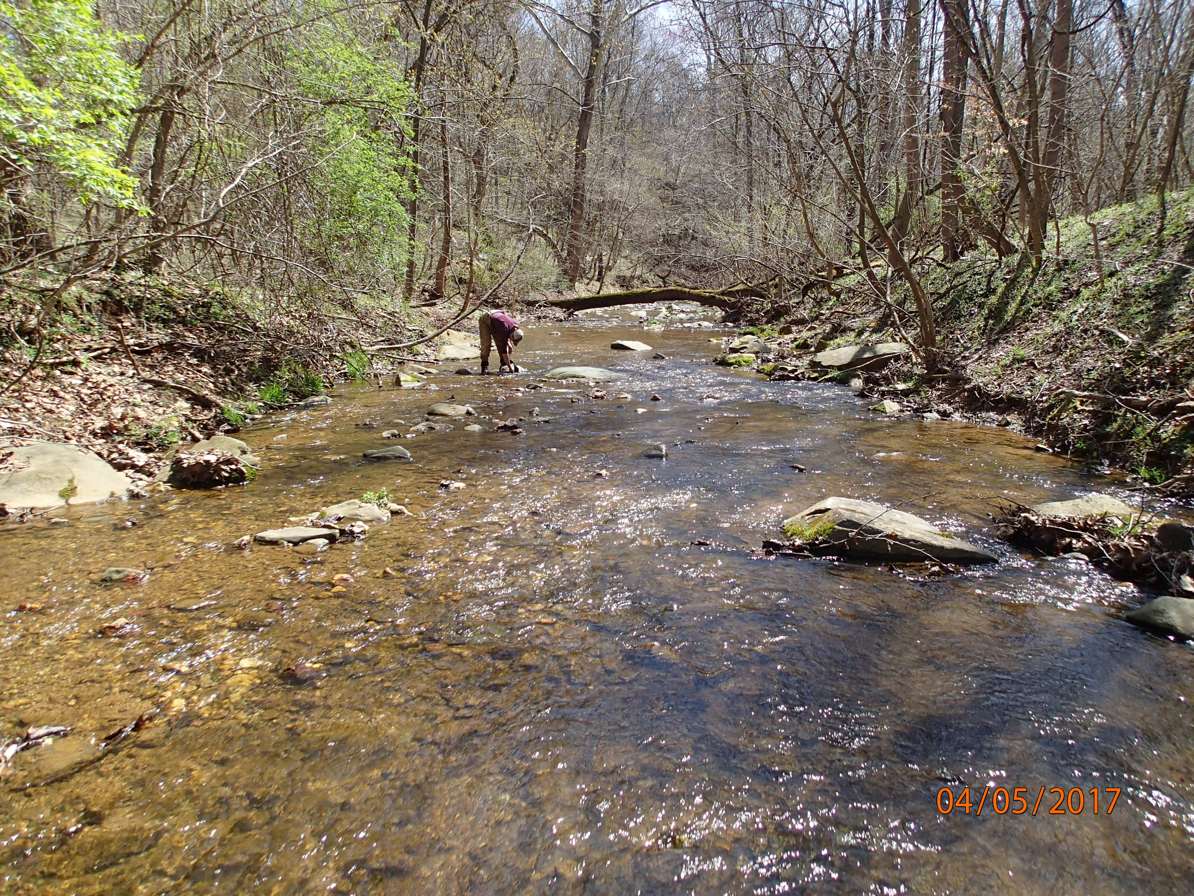 Field photo showing stream conditions at site CATO-208-R-2017-MidpointDownstream