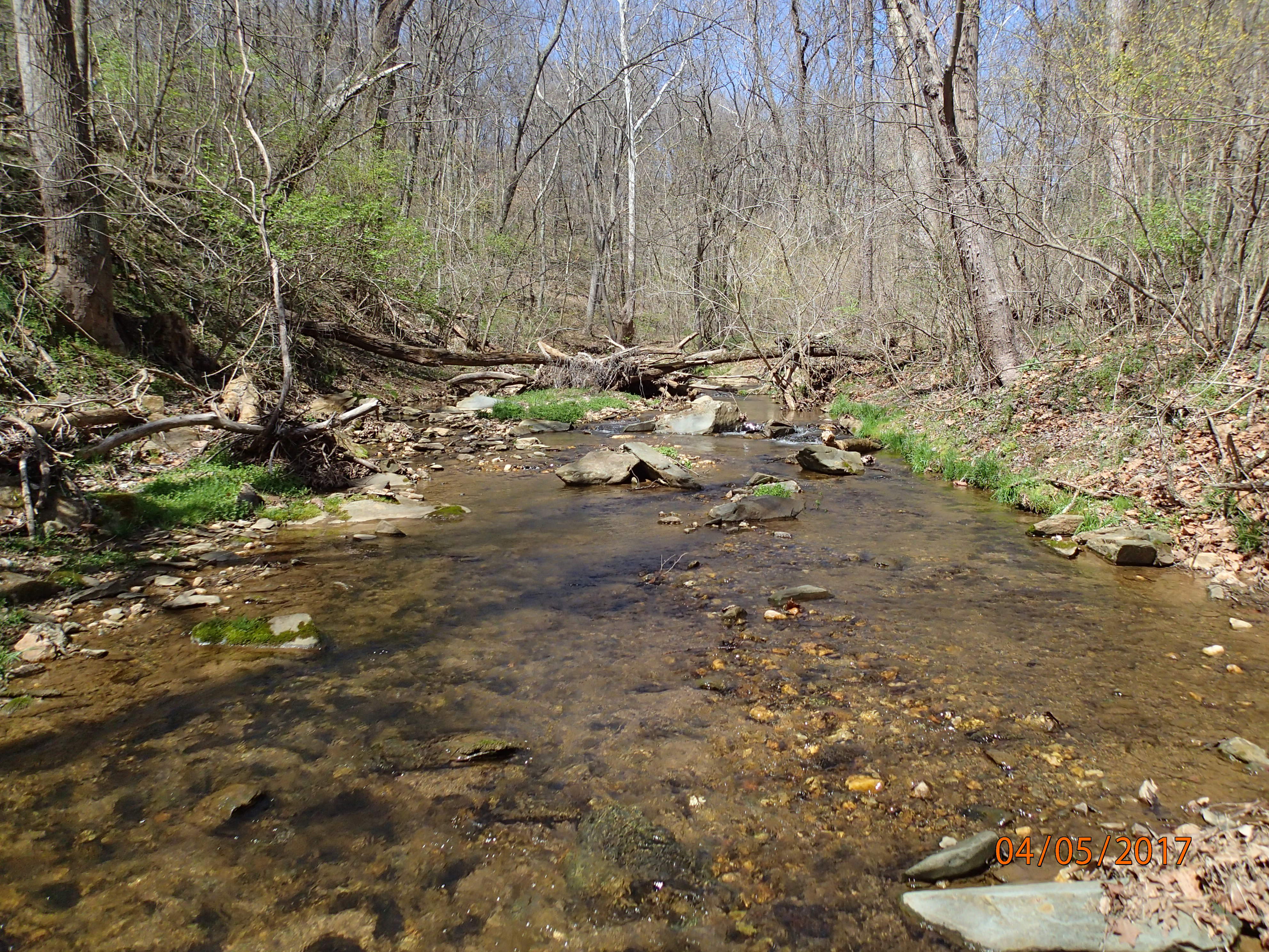 Field photo showing stream conditions at site CATO-208-R-2017-MidpointUpstream