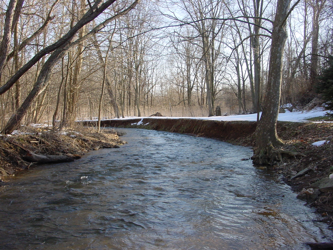 Field photo showing stream conditions at site CATO-212-R-2003-1