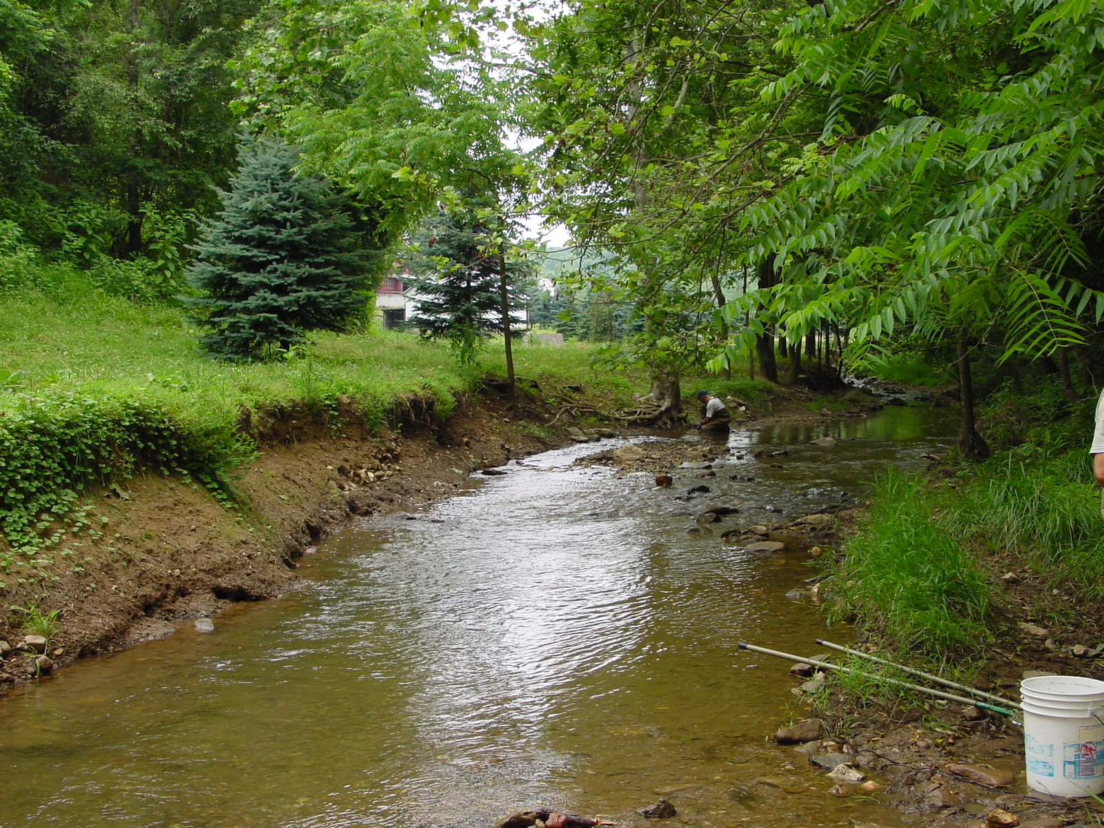 Field photo showing stream conditions at site CATO-212-R-2003-3