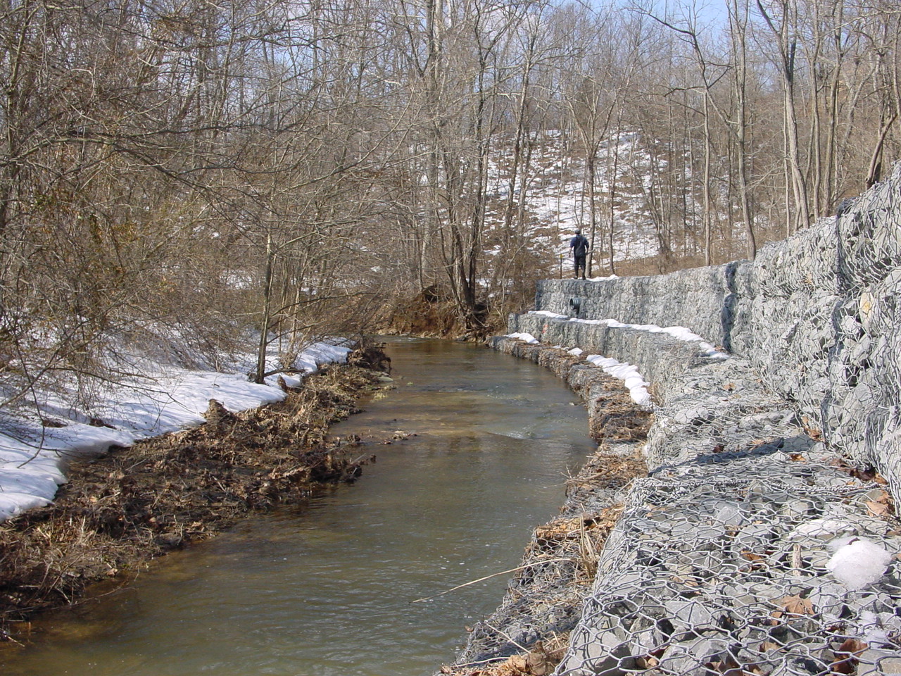 Field photo showing stream conditions at site CATO-214-R-2003-1