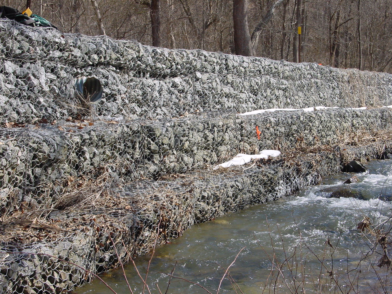 Field photo showing stream conditions at site CATO-214-R-2003-2