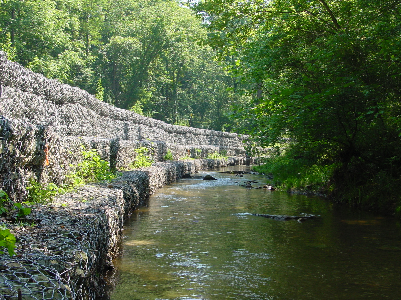 Field photo showing stream conditions at site CATO-214-R-2003-4