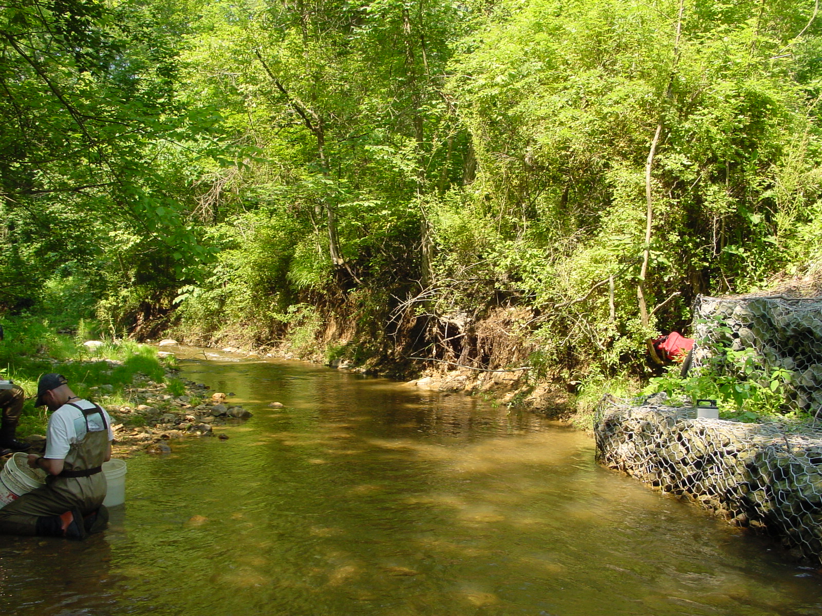 Field photo showing stream conditions at site CATO-214-R-2003-5