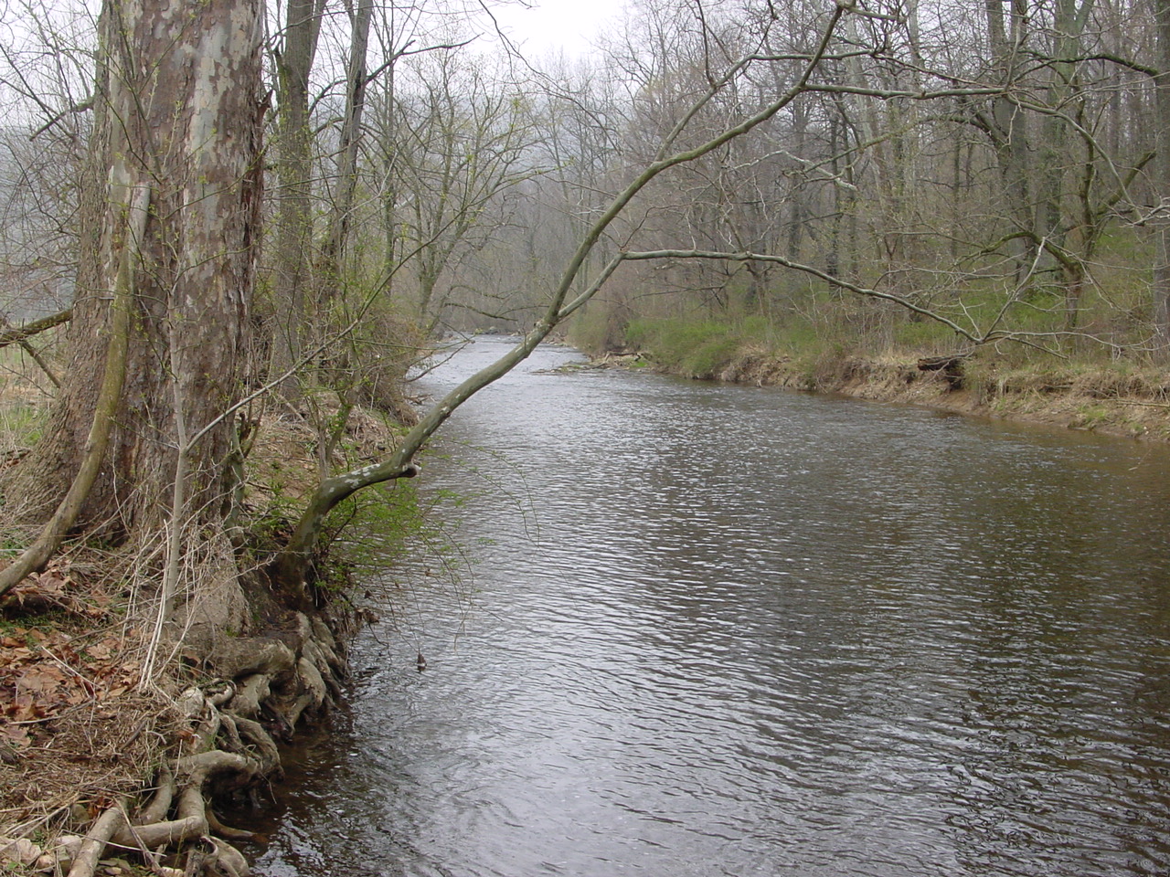 Field photo showing stream conditions at site CATO-301-R-2003-2