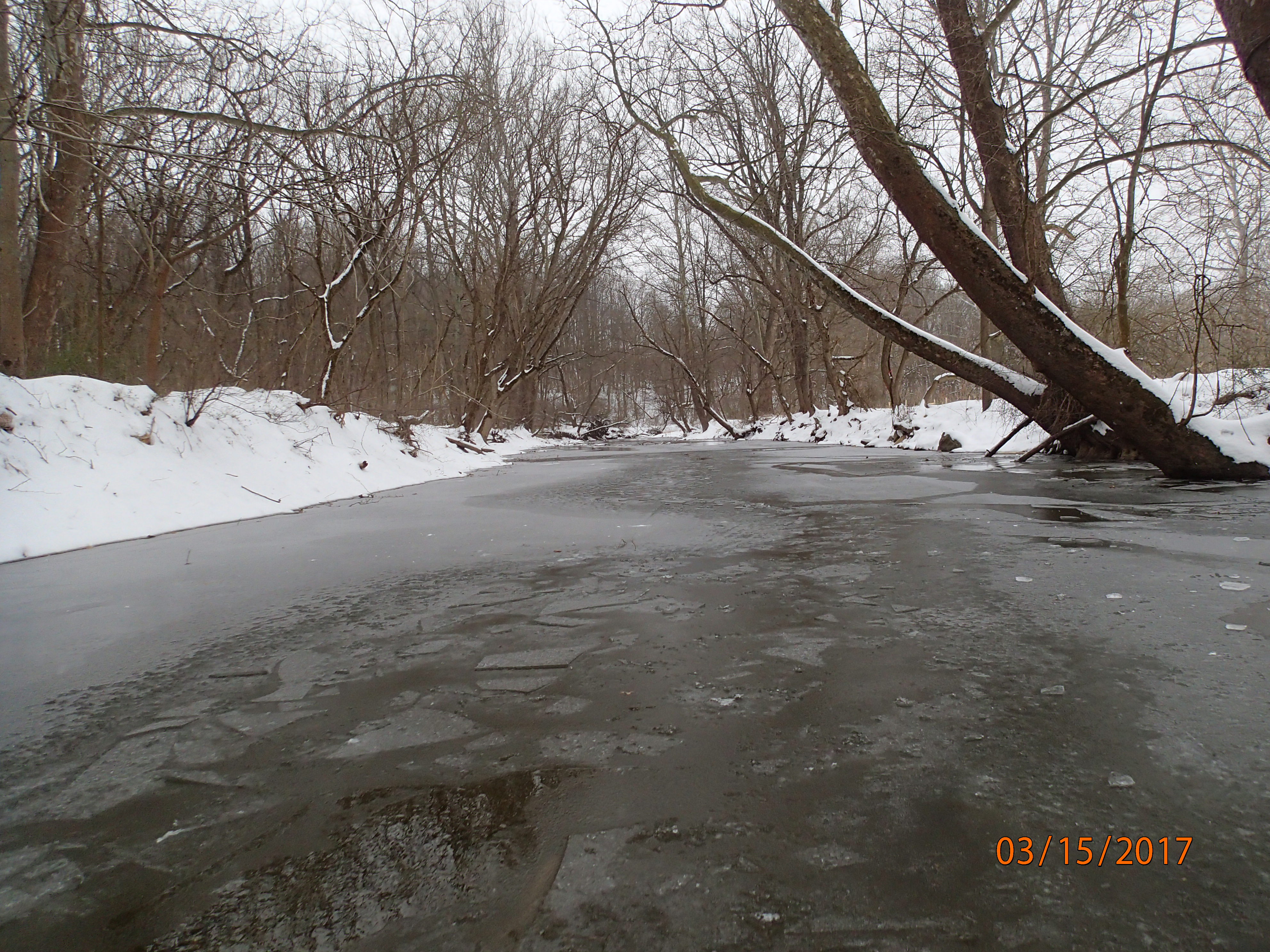 Field photo showing stream conditions at site CATO-301-R-2017-MidpointDownstream